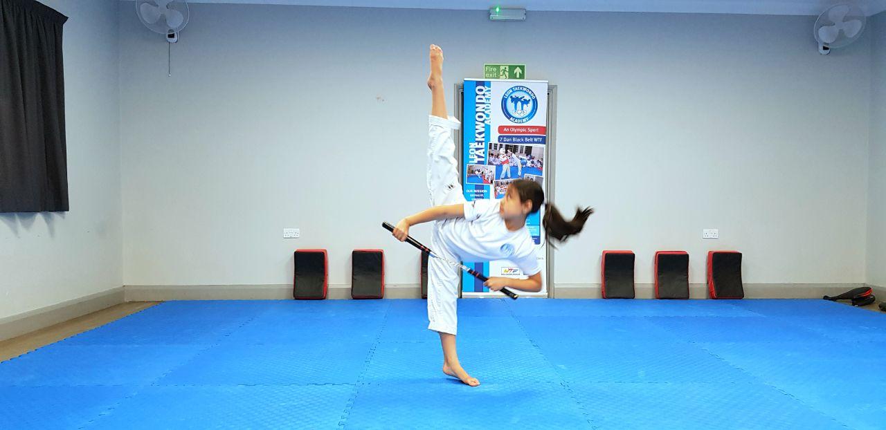 leon taekwondo academy